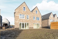 44-Moerasorchidee 29 - Lelystad.JPG